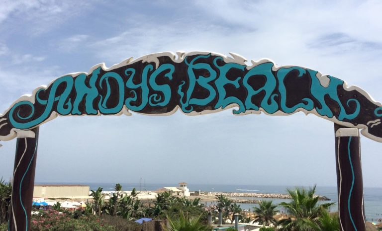 andys-768x465